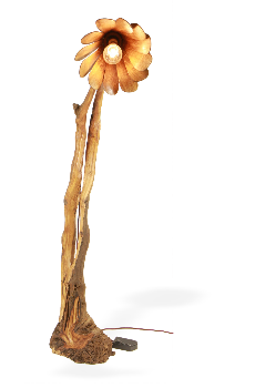 Lamp Archive